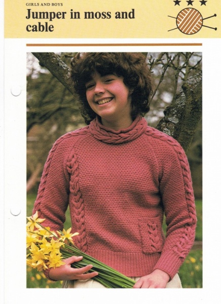 Vintage Hamlyn Knitting Pattern: Jumper In Moss & Cable