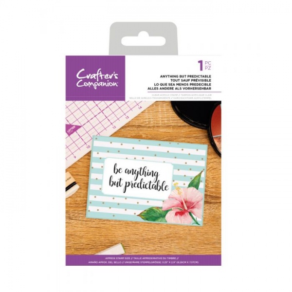 Crafters Companion Clear Acrylic Stamp ~ Anything but Predictable
