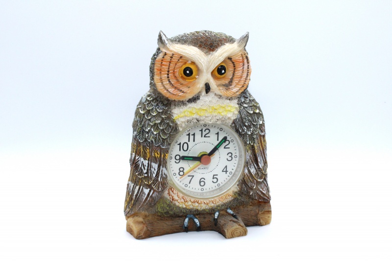Hand Painted Owl Clock